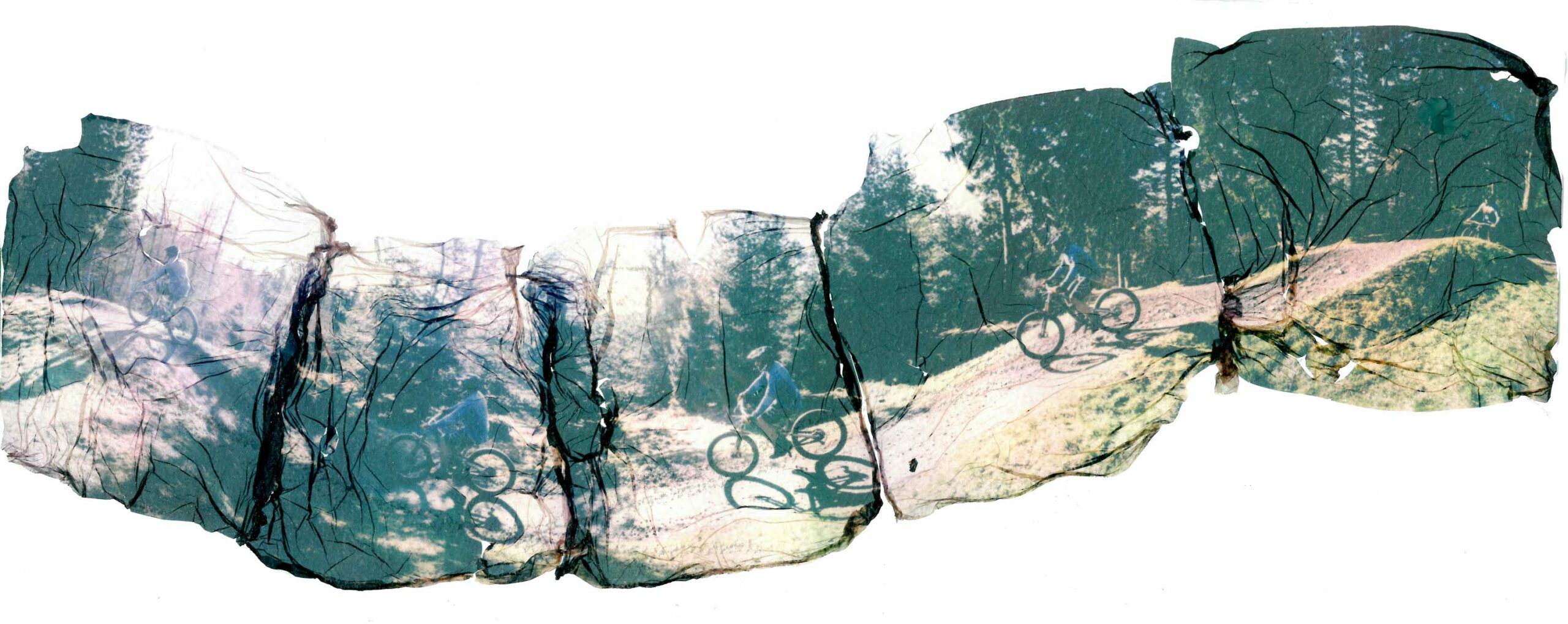 Five emulsion lifts of a mountain biker in the woods